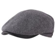 Wegener Boxer
